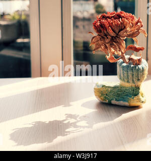 Simple decoration living space indoor at home with red dry daisy flower in colorful handmade pot with shoe shape near window so long oblique shadow Stock Photo