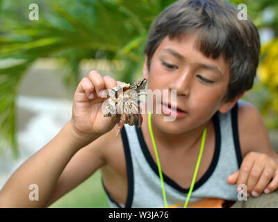 Cute Canadian mixed race boy (Caucasian and Southeast Asian) on holiday in Cuba inspects a hermit crab in a shell. Stock Photo