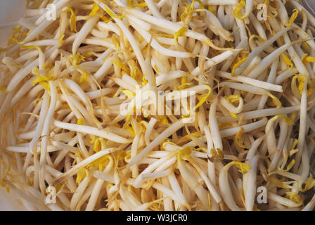 Clean Bean sprouts in containers for eating with noodles. Stock Photo