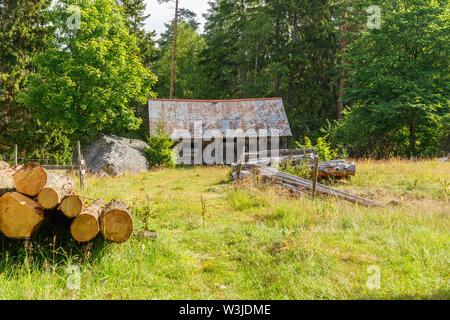 Old dilapidated shed in a meadow at the forest Stock Photo