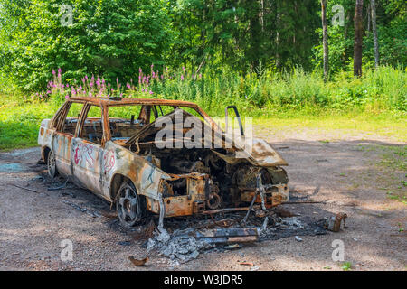 Abandoned burnt out car in the forest Stock Photo