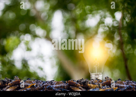 Ecology concept. Growing light bulb on a good soil with green nature background. Depicts a sustainable energy by eco-system.