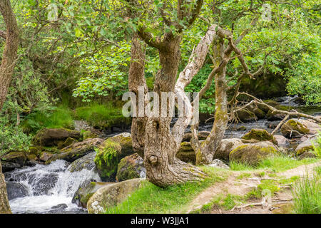 Ceunant Mawr, Llanberis water fall, North Wales. Considered by many as one of the must see attractions in Llanberis Stock Photo