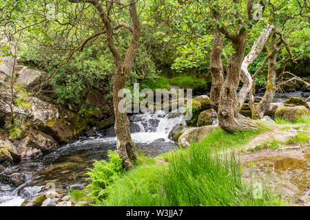 Ceunant Mawr, Llanberis water fall, North Wales. Considered by many as one of the must see attractions in Llanberis Stock Photo