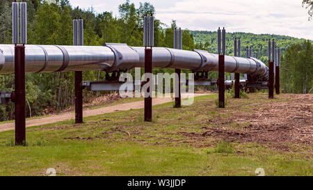 a raised section of the trans alaska pipeline north of fairbanks winding through the hilly forest on a cloudy day Stock Photo