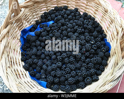 Basket of freshly picked blackberries Stock Photo