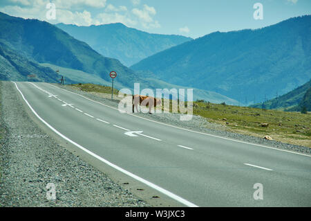 Chuysky Trakt, Chuya Highway trunk road in Novosibirsk Oblast, Altai Krai and Altai Republic of Russia. Stock Photo