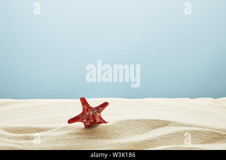 wavy textured golden sand with red starfish on blue background Stock Photo