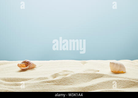 wavy textured golden sand with seashells on blue background Stock Photo