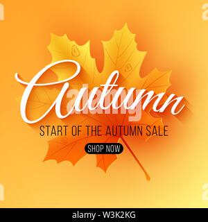 Autumn Sale. Seasonal background. Maple leaf with text. Start of a seasonal sale with big discounts. Vector illustration. EPS 10 Stock Vector
