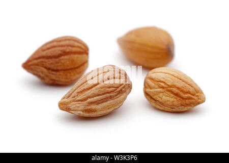 Mahlep or Mahaleb seeds isolated on white background Stock Photo