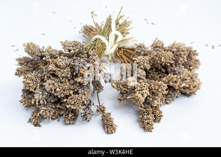Bunches of very dry Lavender flowers in natural colour 2 Stock Photo