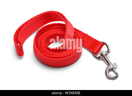 Curled Red Dog Leash Isolated on White. Stock Photo