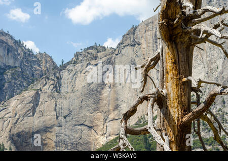 View of a dry Upper Yosemite Falls. Yosemite National Park, California, USA. Stock Photo