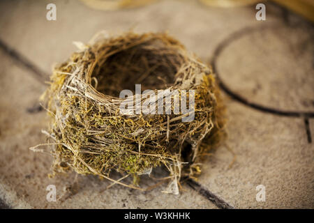 abandoned bird's nest on table, close up Stock Photo