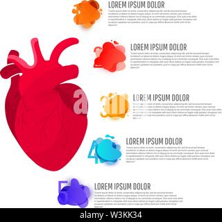 Creative medicine concept. Human anatomy illustration Medical concept infographics of red man heart organ with round elements with text on white backg Stock Vector