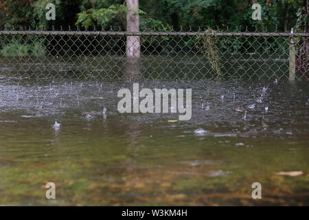 Mandeville, LOUISIANA, USA. 13th July, 2019. A fence stands in a flooded yard near Lake Pontchartrain in Mandeville, Louisiana USA as Hurricane Barry makes landfall on July 13, 2019. Credit: Dan Anderson/ZUMA Wire/Alamy Live News Stock Photo
