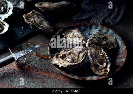 Opened fresh oysters on a dark background, a knife and water drops. Rostik style. Stock Photo