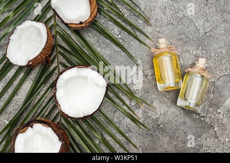 top view of coconut oil in glass bottles on grey textured background with palm leaf and cracked coconuts Stock Photo
