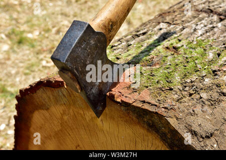 Axe stuck in the end of a log Stock Photo