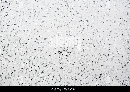 Detail of broken tempered glass pane too many small irregular shape pieces holding together resembling puzzle desktop. Focused on whole plane. Stock Photo