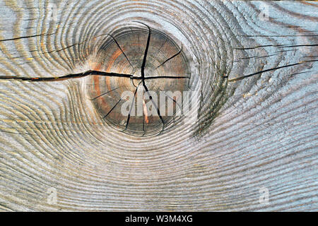 The texture of the slice of the old rotten stump with cracks and annual rings. Stock Photo