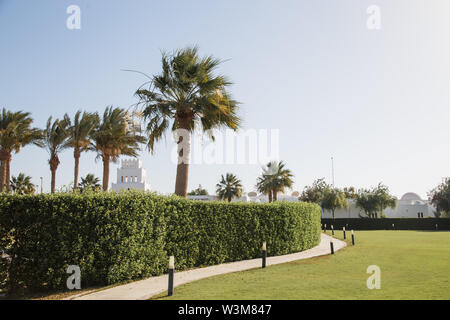 Green yard with palms in Egypt Stock Photo