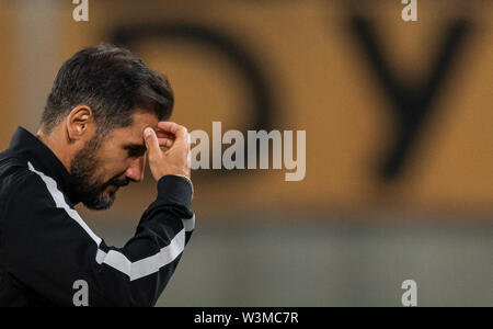 16 July 2019, Saxony, Dresden: Football, test match, SG Dynamo Dresden - Paris Saint-Germain, in the Rudolf-Harbig-Stadium. Dynamos coach Cristian Fiel leaves the field after the game. Photo: Robert Michael/dpa-Zentralbild/dpa Stock Photo