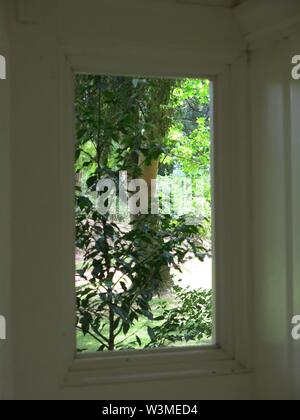A white wooden window frames the view of the woodland outside in dappled sunlight; a glimpse of a secret garden. Stock Photo