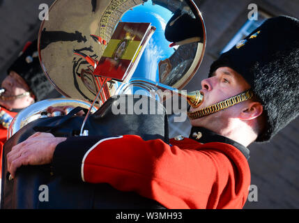 A Corporal musician of the 5th Battalion Royal Regiment of Fusiliers band based in Newcastle upon Tyne, the battalion is part of the Army Reserve. Stock Photo