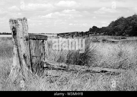 Taken in Purton on the east bank of the River Severn, in Gloucestershire, England. Here lies a Ships' graveyard used to reinforce the river bank. Stock Photo