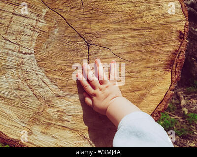 Four hands touching a tree trunk stock photo