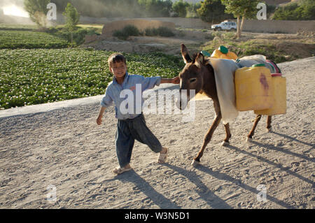 A young boy guides his donkey with four jerry cans full of water, on a dirt road, on the outskirts of the Bamyan city, in the central Bamyan province. He delivers and sell water door to door to those families who are either affluent or do not have the means to transport water from streams to their homes. The average Afghan men struggles to support their family on the equivalent of US $3 per day, and some 20 to 30 per cent of children of primary-school age work to supplement the family income. There are thousands of children who work in hazardous conditions all over Afghanistan. July 8, 2007. Stock Photo