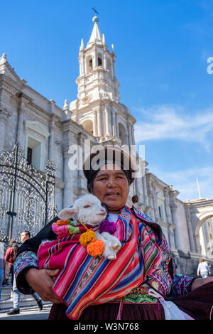 Arequipa church, portrait of local Peruvian Aymara woman holding an alpaca, Arequipa Cathedral at Arequipa Plaza de Armas, Peru Stock Photo