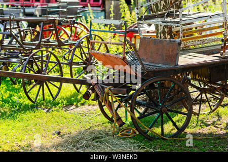 Old, used horse carts or runabout carts stand on the green grass of a farmyard on a sunny summer day Stock Photo