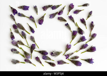 Flowers composition. round frame made of various colorful flowers on white background. Flat lay, top view, copy space Stock Photo