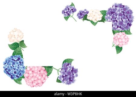 Horizontal colorful hydrangea template design banner flat vector illustration on white background. Stock Vector