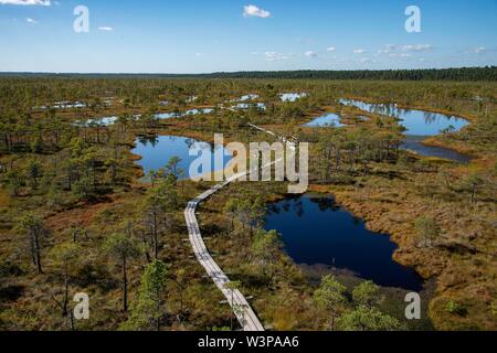 Aerial view, wooden path through wetland, Kemeri National Park, near Jurmala, Latvia Stock Photo