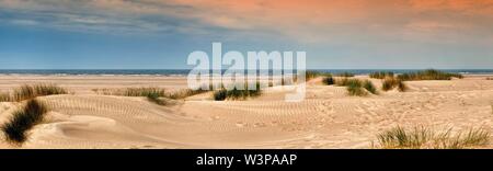 Sandy beach with dune grass, North Sea, Norderney, Germany Stock Photo