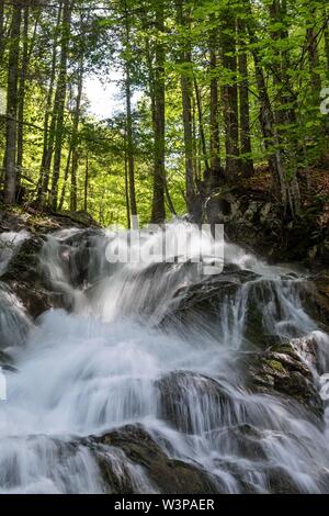 Waterfall in the Dr. Vogelgesang gorge at the Trattenbach, Spital am Pyhrn, Traunviertel, Upper Austria, Austria Stock Photo
