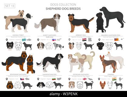 Dogs by country of origin. Czech dog breeds. Shepherds, hunting ...