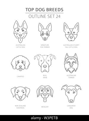 Top dog breeds. Pet outline collection. Vector illustration Stock Vector