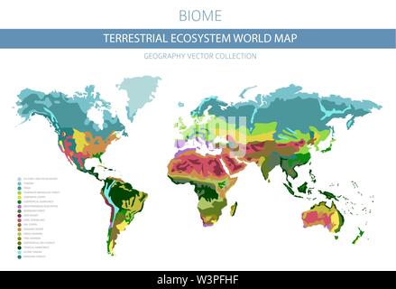 Terrestrial ecosystem world map. Biome. World climatic zone infographic design. Vector illustration Stock Vector