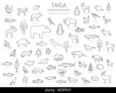 Taiga biome, boreal snow forest 3d isometry design. Terrestrial ecosystem  world map. Animals, birds, fish and plants infographic element Stock Vector