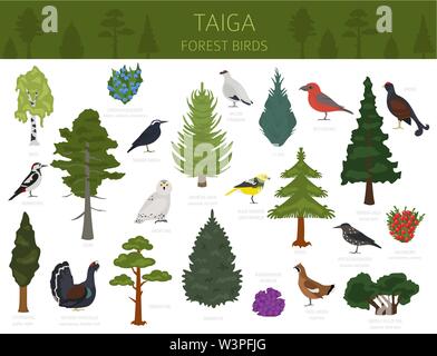 Taiga biome, boreal snow forest. Terrestrial ecosystem world map. Animals,  birds, fish and plants infographic design Stock Vector