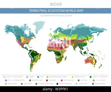 Terrestrial ecosystem world map. Biome. World climatic zone infographic design. Vector illustration Stock Vector