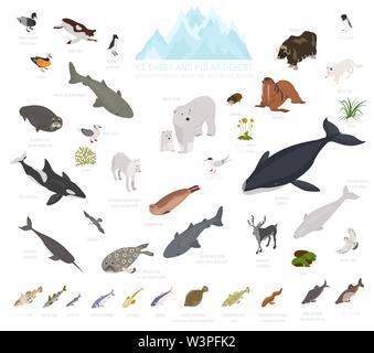 Ice sheet and polar desert biome. Isometric 3d style. Terrestrial ecosystem world map. Arctic animals, birds, fish and plants infographic design. Vect Stock Vector