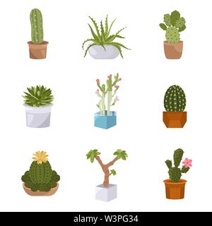 Cactuses and succulents icon set. Houseplants. Vector illustration Stock Vector