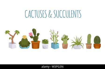 Cactuses and succulents icon set. Houseplants. Vector illustration Stock Vector