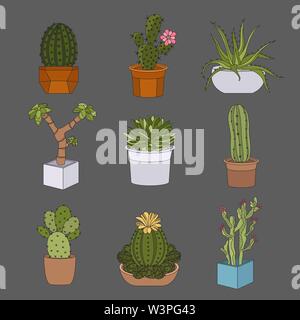 Cactuses and succulents icon set. Houseplants. Vector illustration Stock Vector